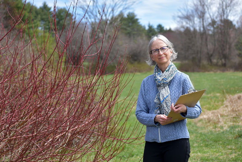 Dr. Anne Brown MD, in Auburn, Maine. Holistic Internal & Integrative Medicine